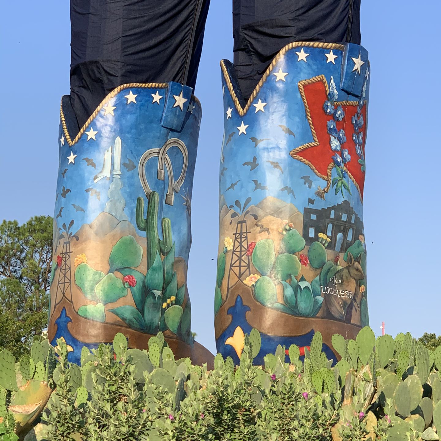 Would Someone Please Let Texans Know That Saguaros Don't Grow In Texas?!?